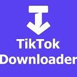 ssstikok and  Tiktok video Downloader