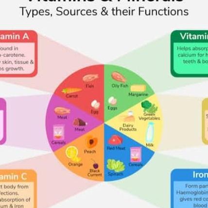 Vitamin Hub