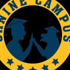 Canine  Campus