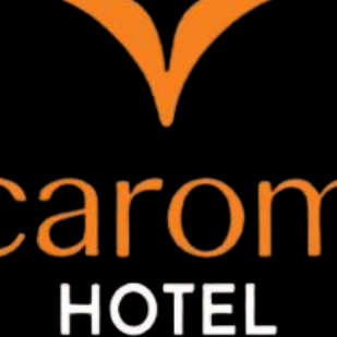 Carom Hotel Manali