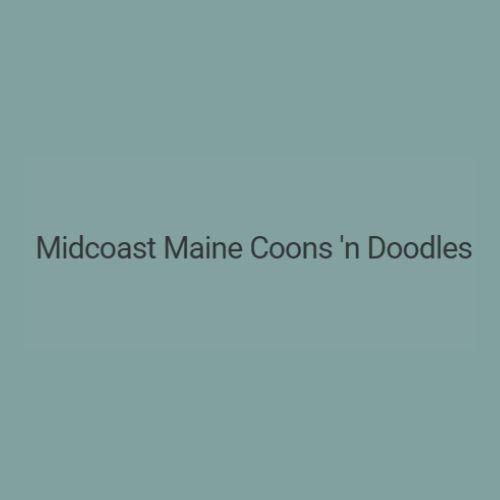Midcoast Maine Coons N Doodles